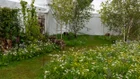 Thumbnail for slide 2