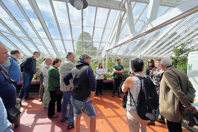 Find out more about the RHS Expert Groups