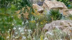 Thumbnail for slide 3