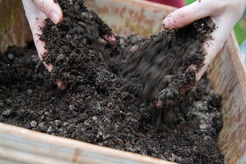 How to reuse spent compost | RHS Advice