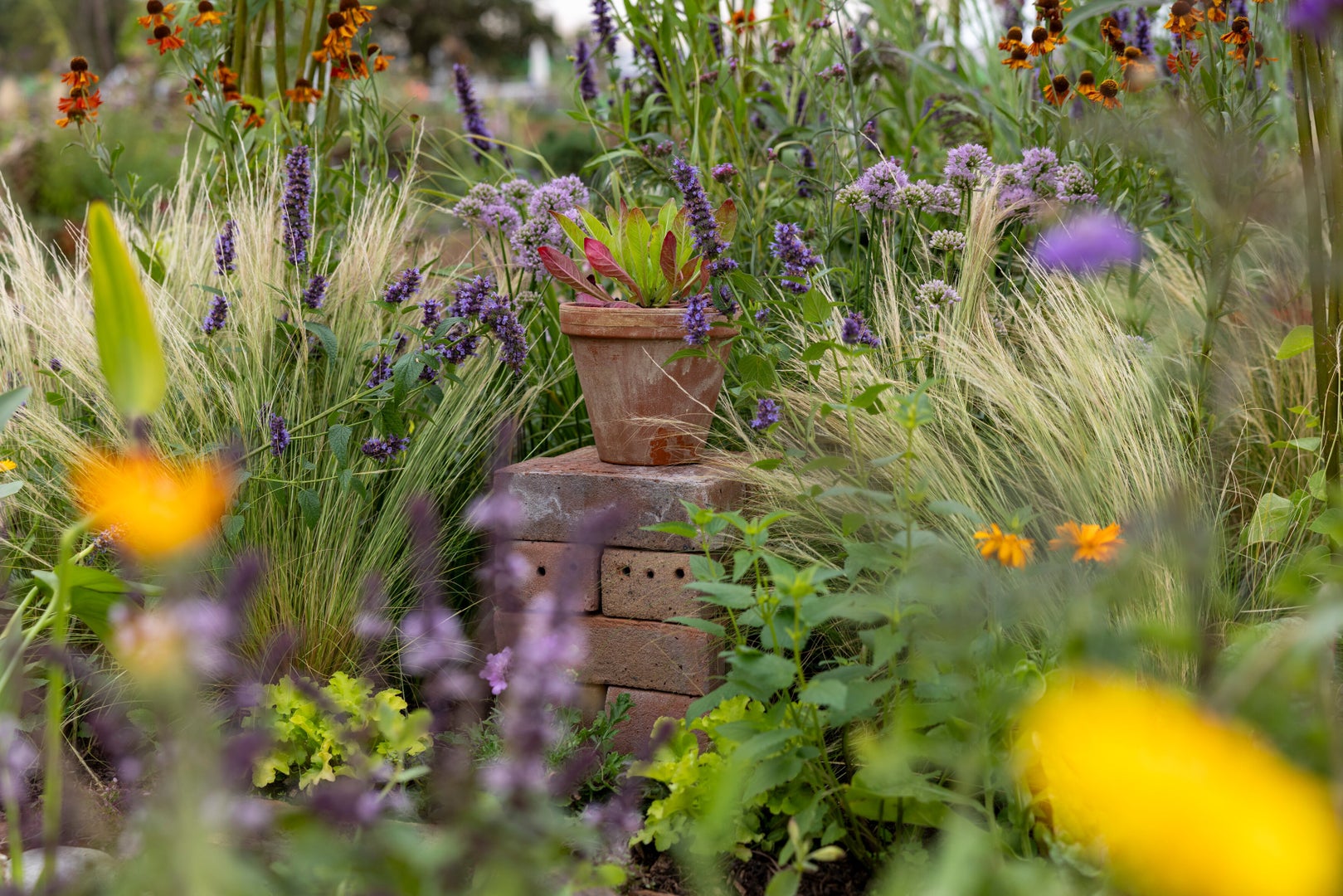 From Plot To Habitat