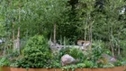 Thumbnail for slide 1