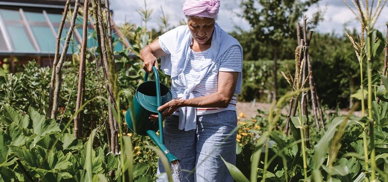 What not to do in the garden during a heatwave and drought