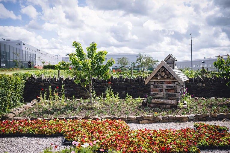 More award-winning prison gardens