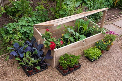 Cold frame
