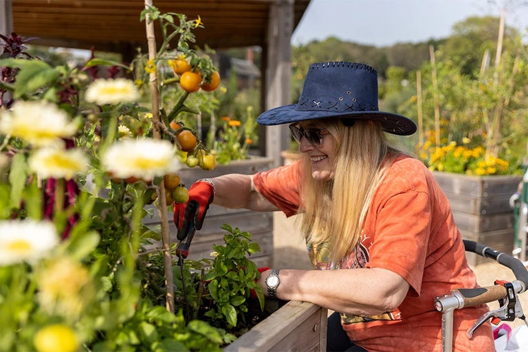 What to plant in a wellbeing garden