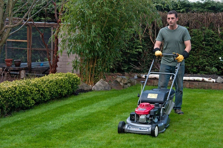 Get started with gardening