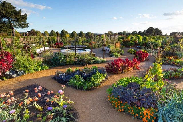 Wisley World Food Garden
