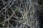 Thumbnail for slide 7