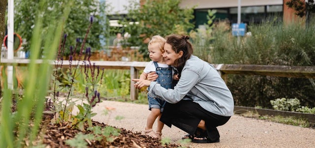 Making a blueprint for wellbeing gardens