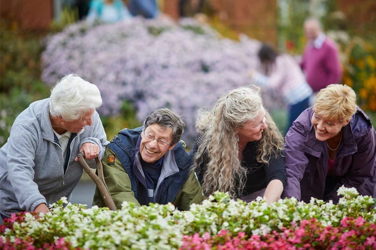 Volunteer in your community