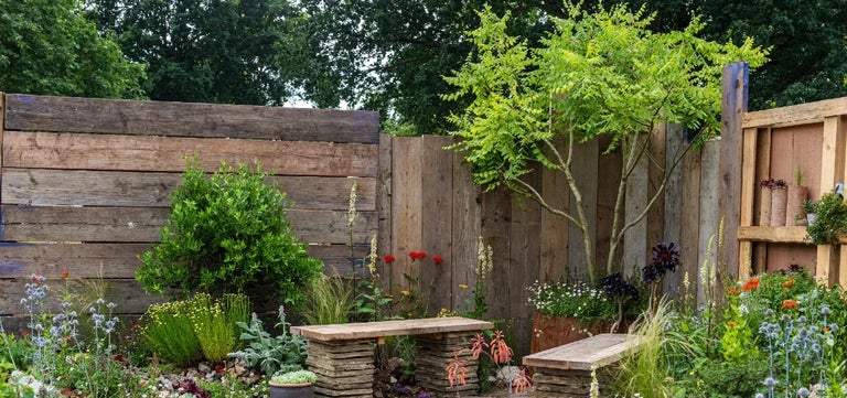 Garden trends for 2021: clever ways to fit trees and shrubs into small gardens