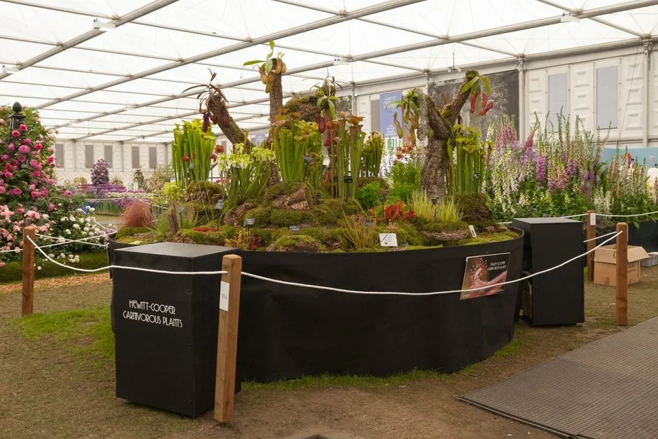 Hewitt-Cooper Carnivorous Plants