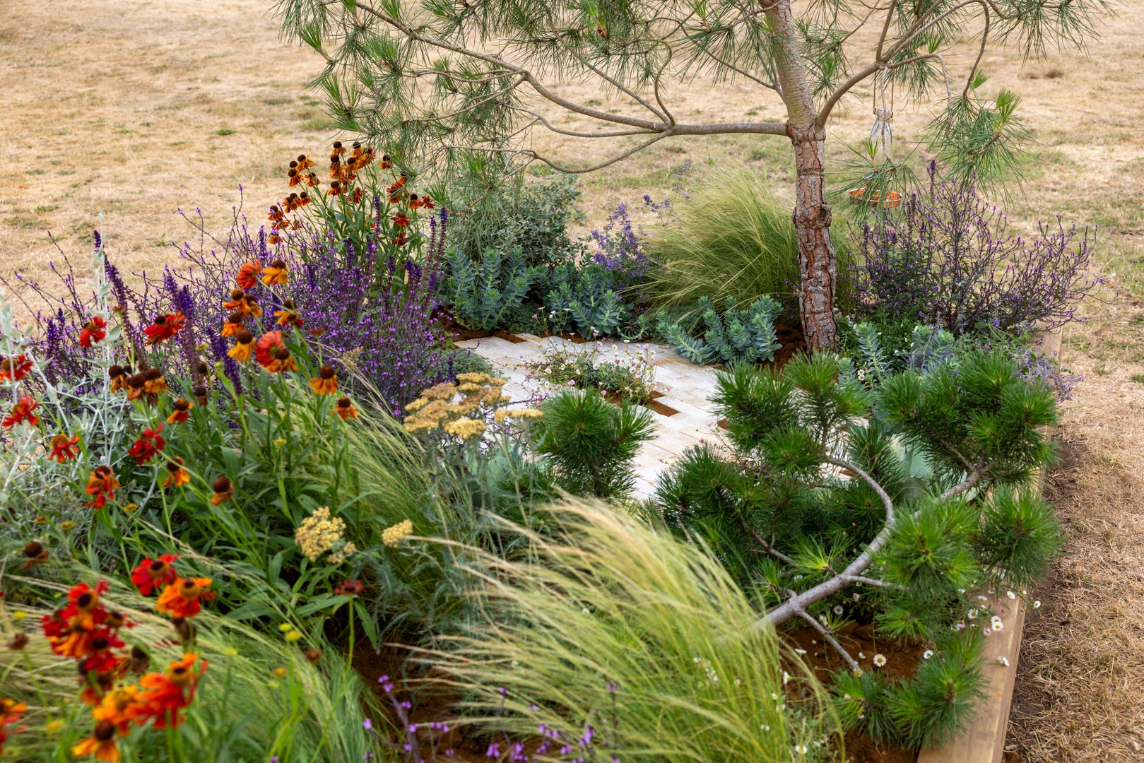 The Goldcrest Garden: Restoring Habitat, Repairing Climate