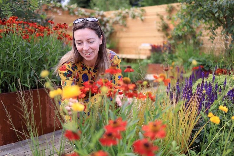 Discover the highlights of RHS Hampton Court 2022