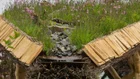 Thumbnail for slide 2