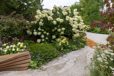 RHS Royal Legacy Garden