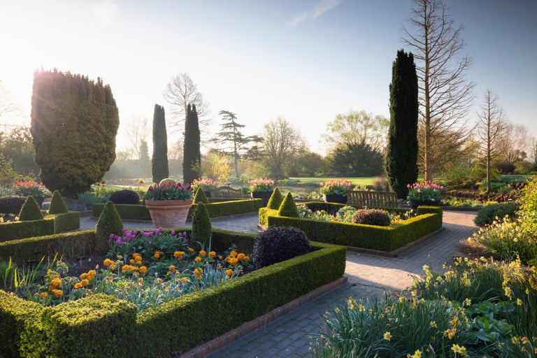 A garden with bushes and flowers