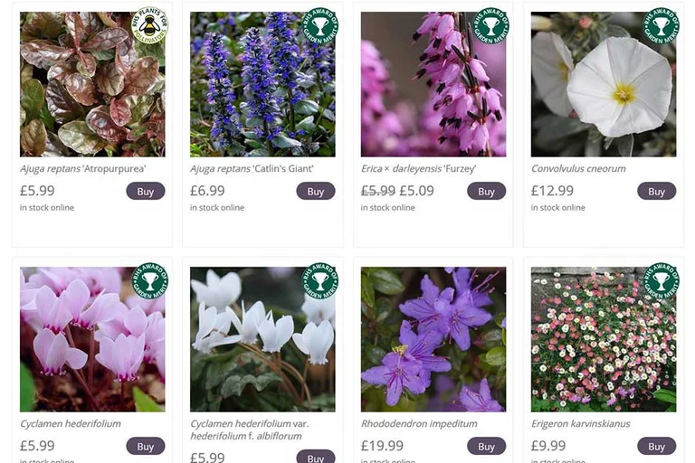 Buy alpines