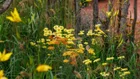 Thumbnail for slide 5