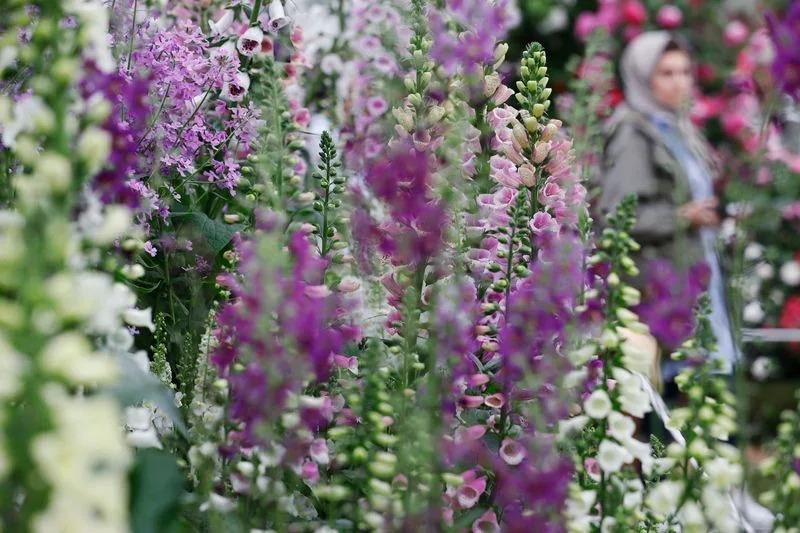 The Botanic Nursery