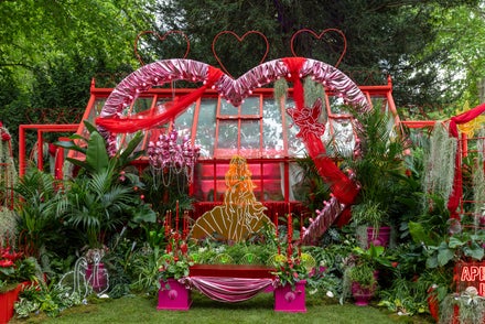Houseplant Studios set to excite