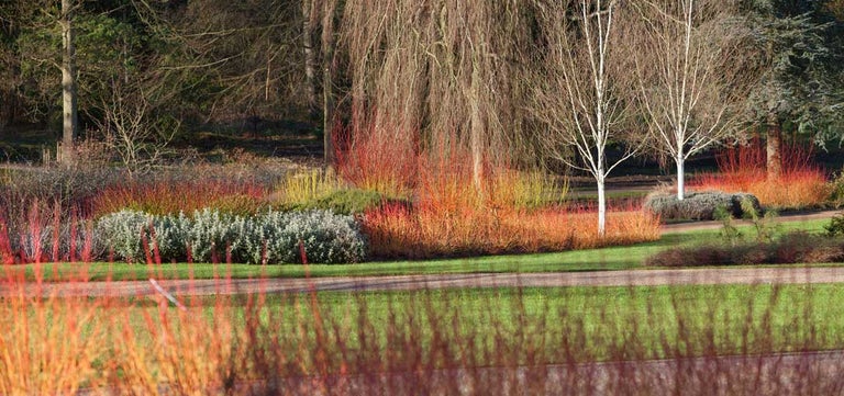 Inspirational winter gardens to visit