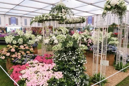 Cook’s Garden Centre