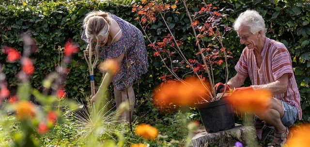 Creating a dementia-friendly garden