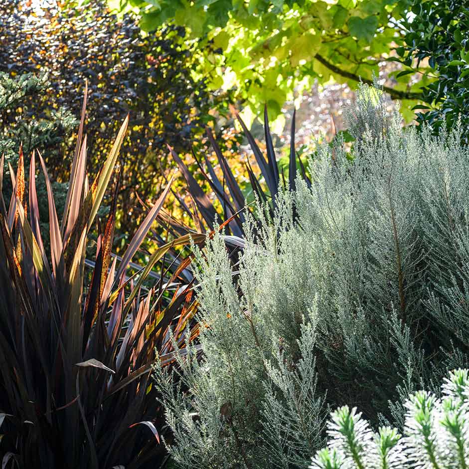 Foliage shapes can be used to create striking effects