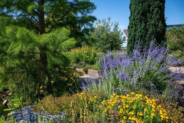 Sustainable planting combinations