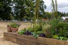 Thumbnail: From Plot To Habitat