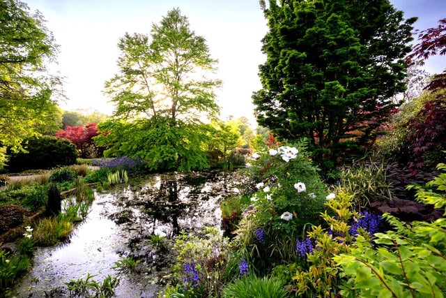 Must-see highlights at Harlow Carr