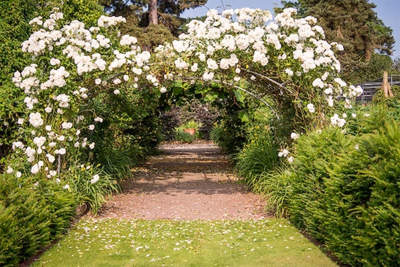 Goldstone Hall Hotel & Gardens, Shropshire