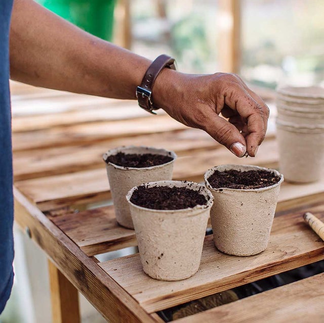 Where you can, use biodegradable or recyclable containers when sowing seeds indoors