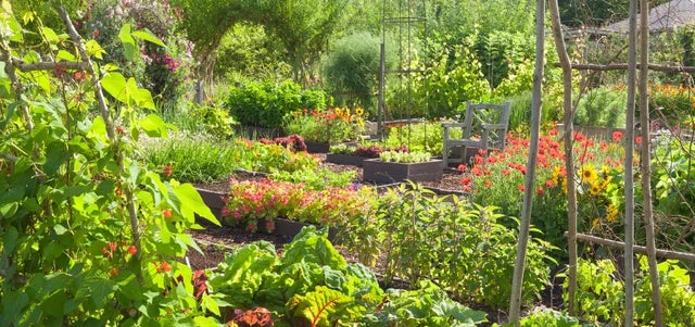 Grow your own garden sundries