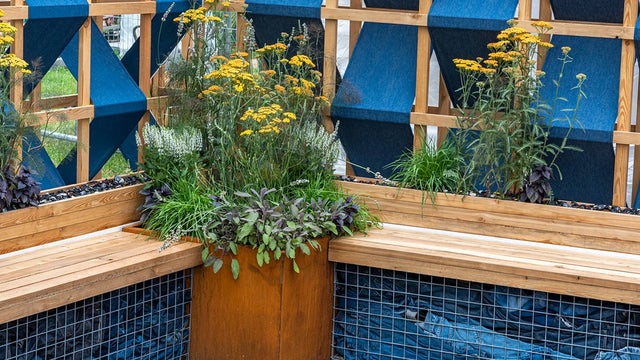 Discover RHS Hampton Court Palace Garden Festival