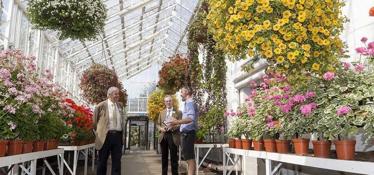 Celebrating Britain in Bloom: standout entrants of the UK Finals 2025