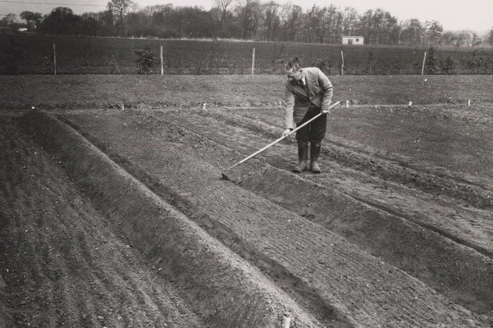 The 1950s