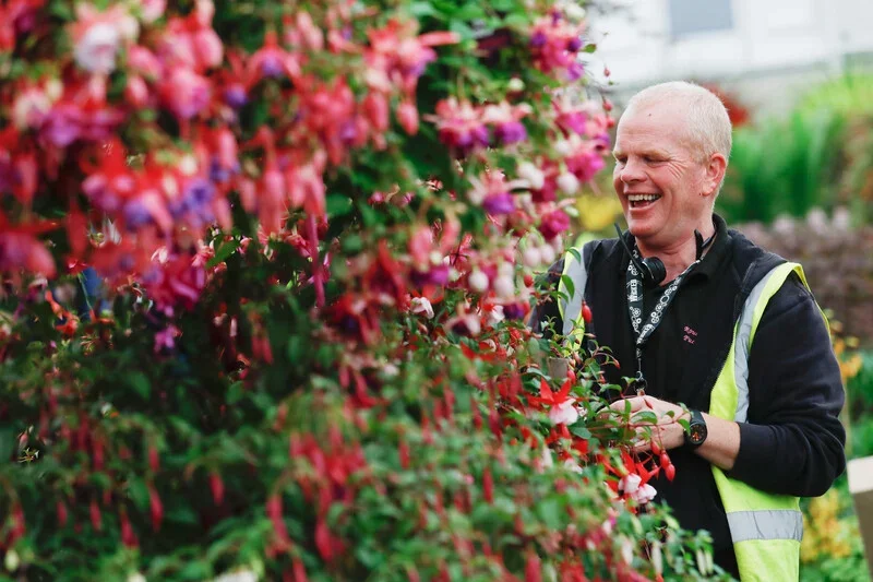 Roualeyn Fuchsias