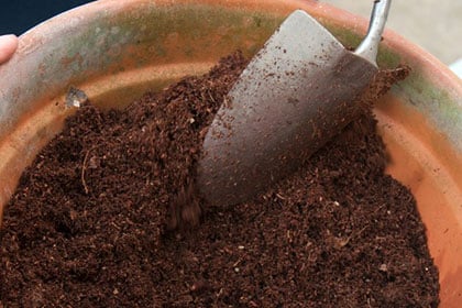 Acid soil