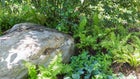 Thumbnail for slide 3