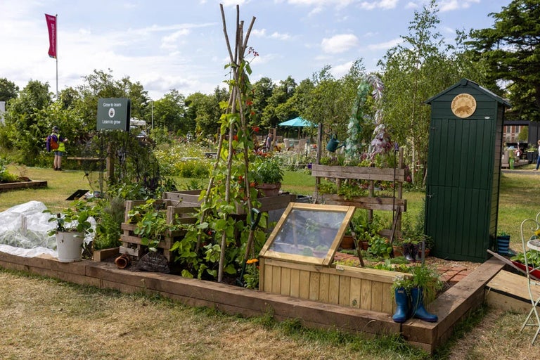 See the RHS Allotments growing remedies for health