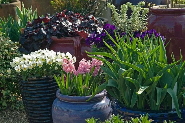 Tips for container gardening