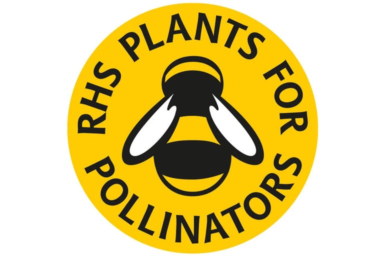 RHS Plants for Pollinators
