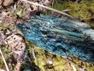 Thumbnail for slide 6