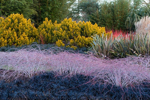 Sir Harold Hillier Gardens