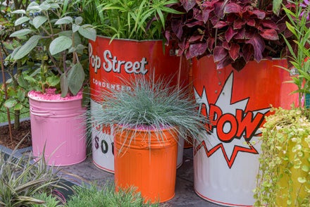 Upcycled containers by schools and gardening groups