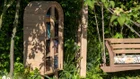 Thumbnail for slide 5