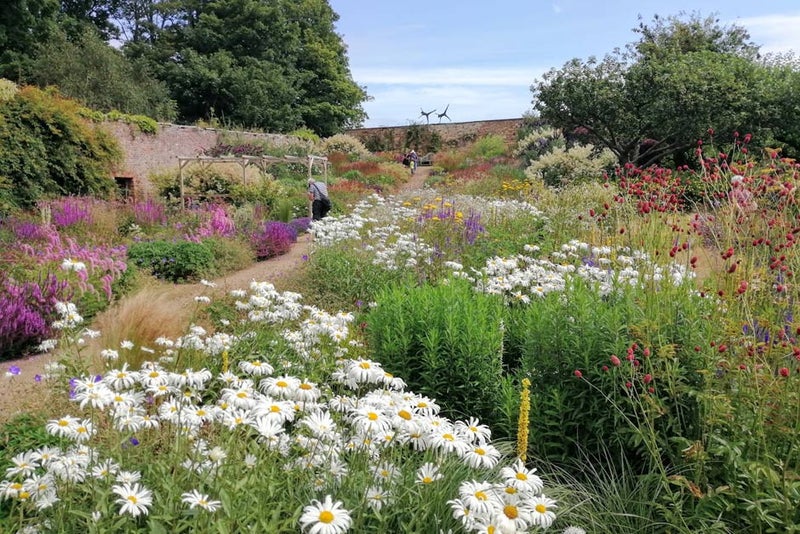 Cambo Gardens, Fife